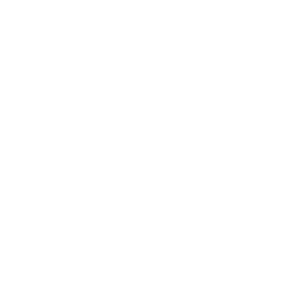 Logo Splash